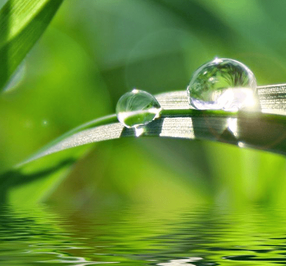 堅持可持續(xù)發(fā)展戰(zhàn)略 堅持可持續(xù)發(fā)展戰(zhàn)略